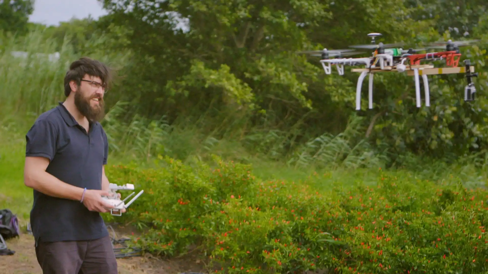 A man with a beard operates a drone using a remote control in a lush, green outdoor setting.